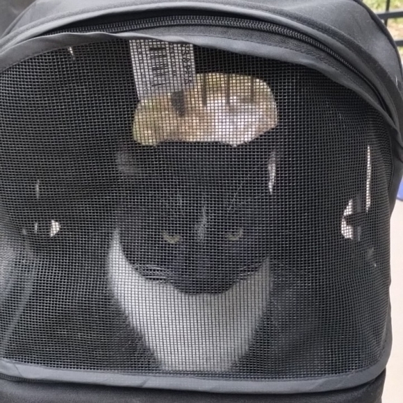 Come join me for a live show. 💜❤️. Come join the fun. - Picture 14 of 16